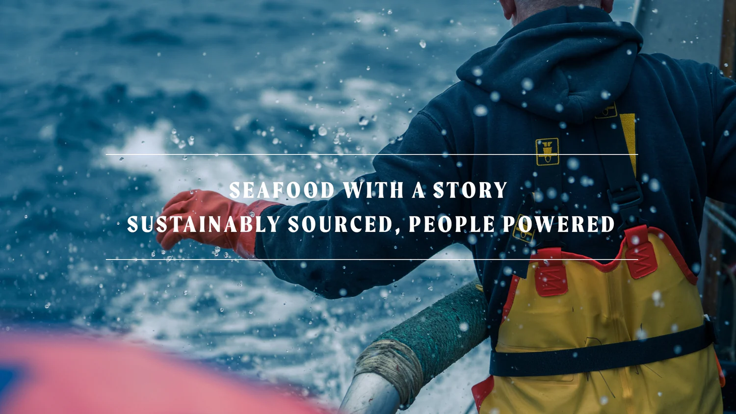 Welcome to Our Store